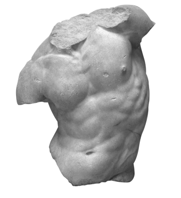 Torso of a Centaur